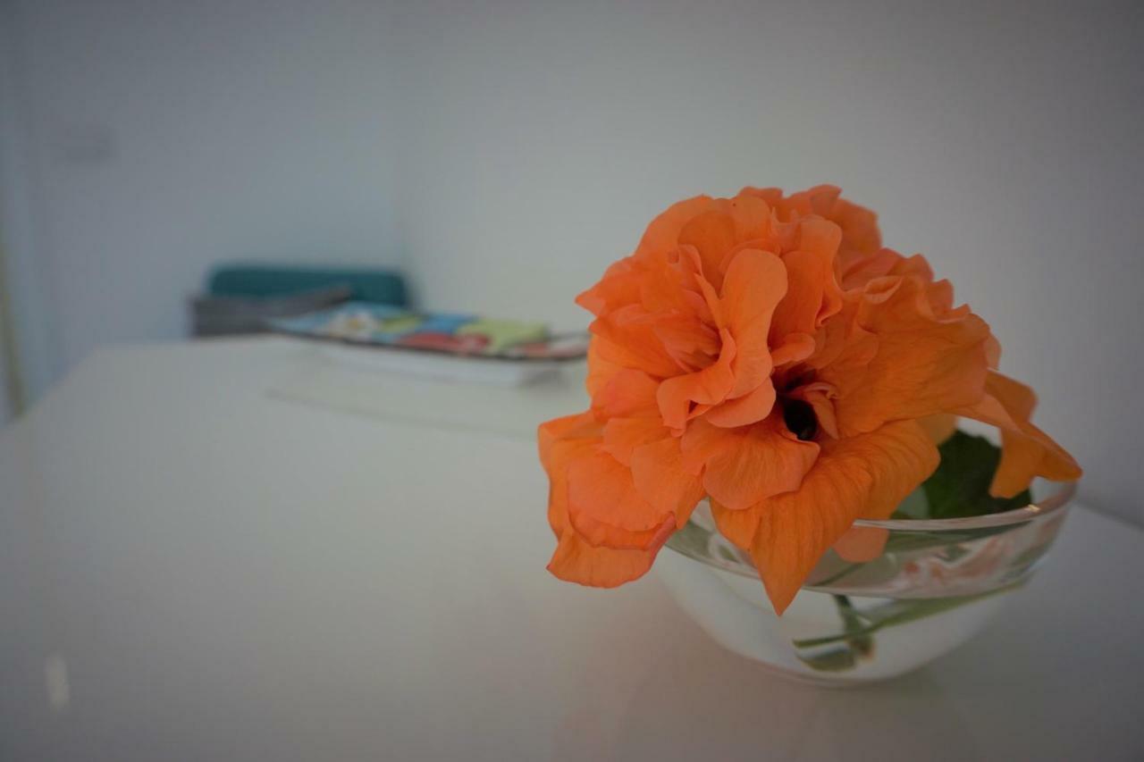 Apartament Casa Gise Aci Castello Zewnętrze zdjęcie